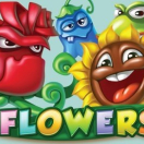 Flowers Christmas